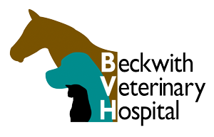BVH_logo