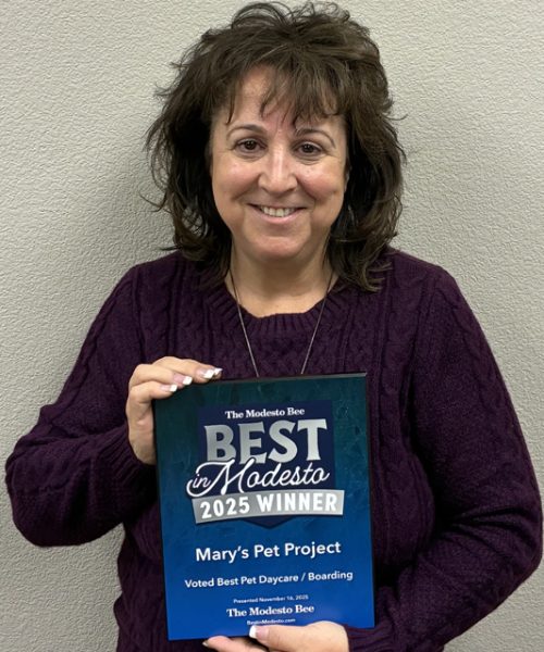 marys-pet-project-best-of-modesto-2025-pet-sitting-pet-boarding-